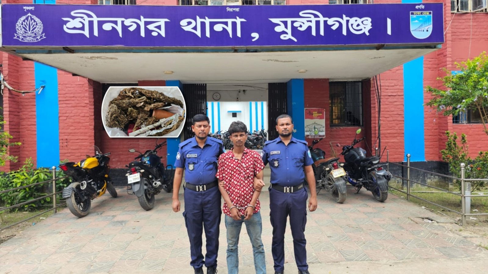শ্রীনগরে গাঁজাসহ মাদক কারবারি গ্রেফতার