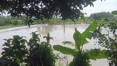এক গ্রামে অবৈধ ছয় ড্রেজার প্রশাসনের নিরব ভূমিকা