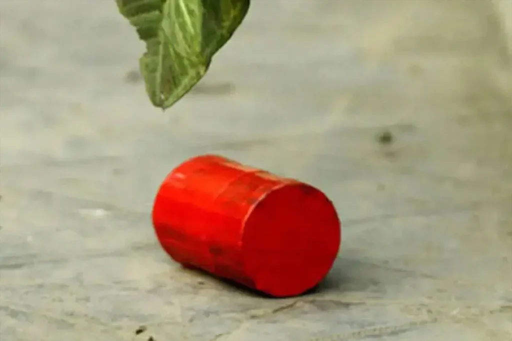 তেজগাঁওয়ে ককটেল বিস্ফোরণে পথচারী আহত